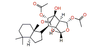 Chromodorolide A